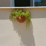 Appartement Karya Koycegiz (Mugla)