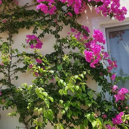 Appartamento Karya *